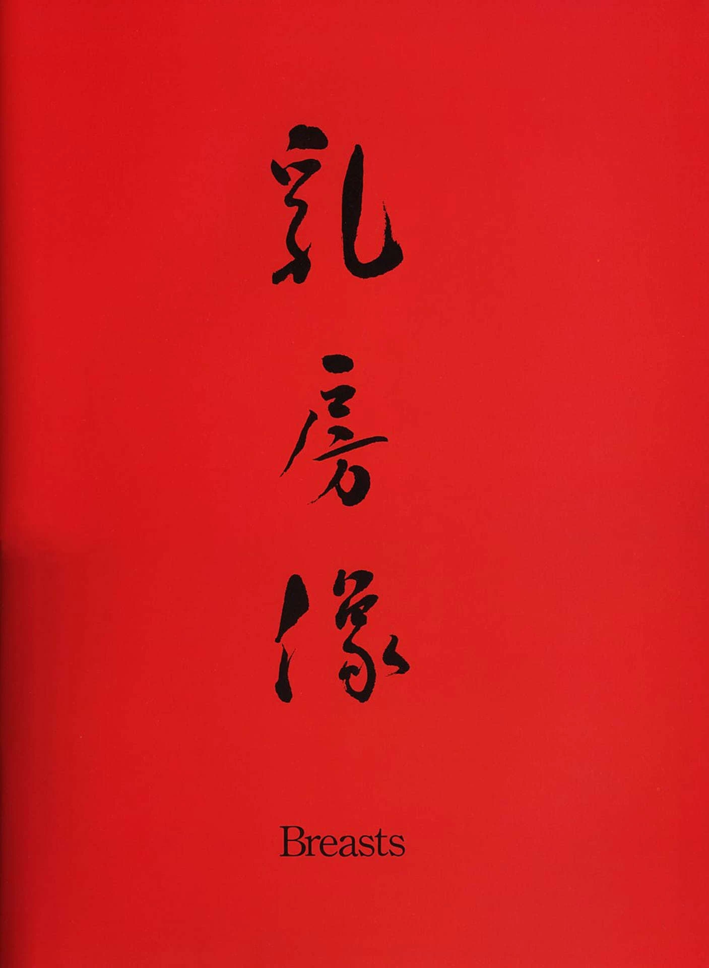 小松美幸 x リウミセキ 《乳房像》 1994.10[写真集] [94P]