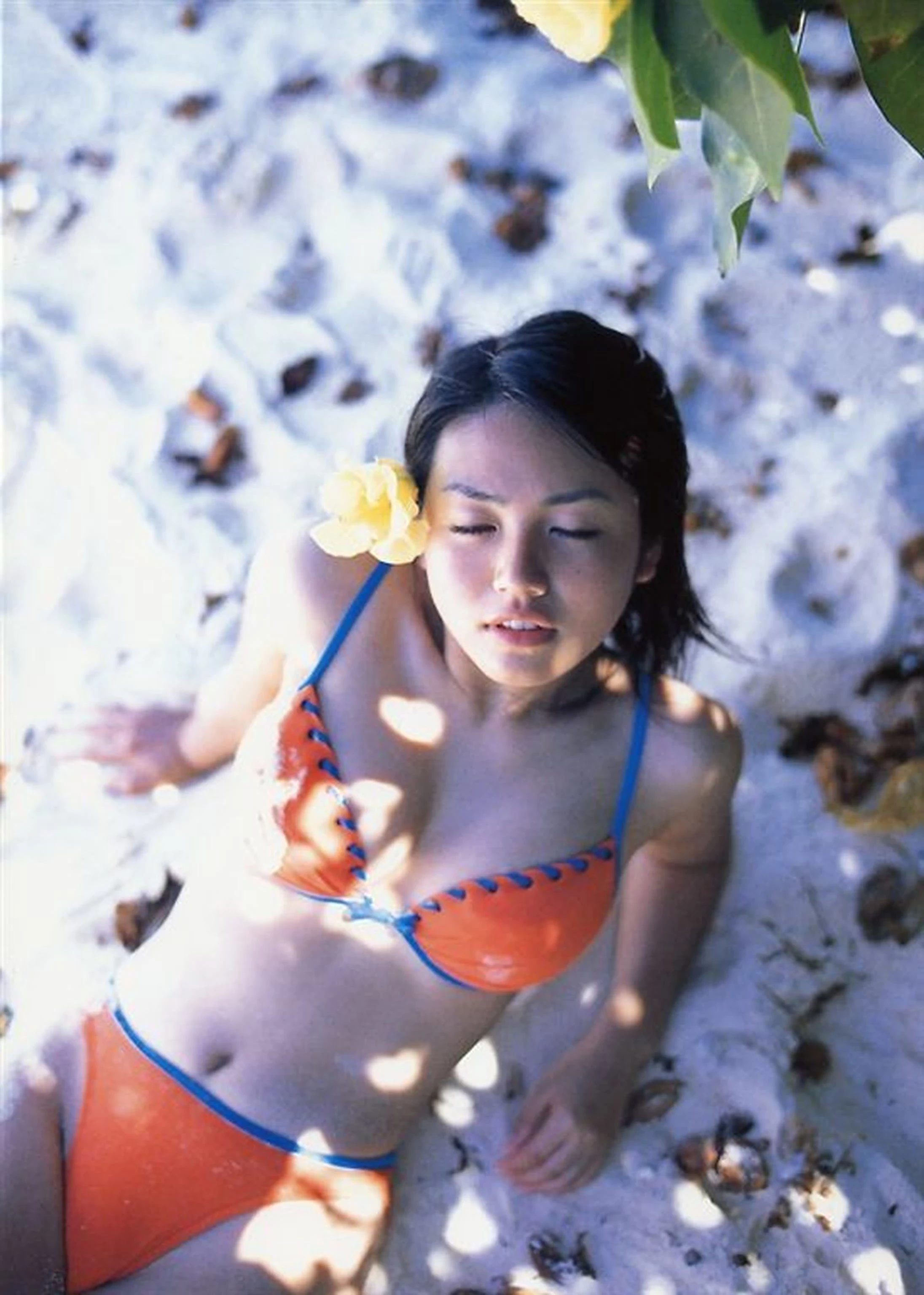 矶山沙也加[矶山さやか][Photobook] Sayaka Isoyama - Pre Pri 17 [551P]