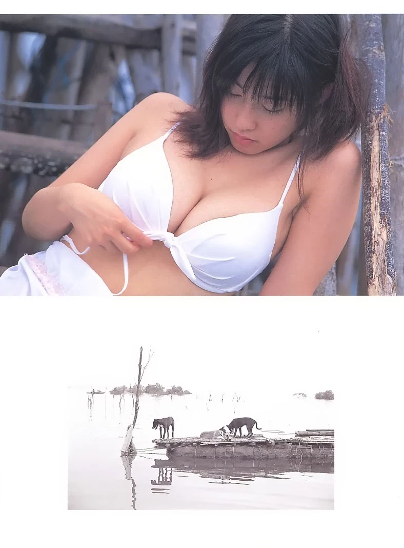 佐藤寛子[Photobook] - HIROKO★MIX [437P]