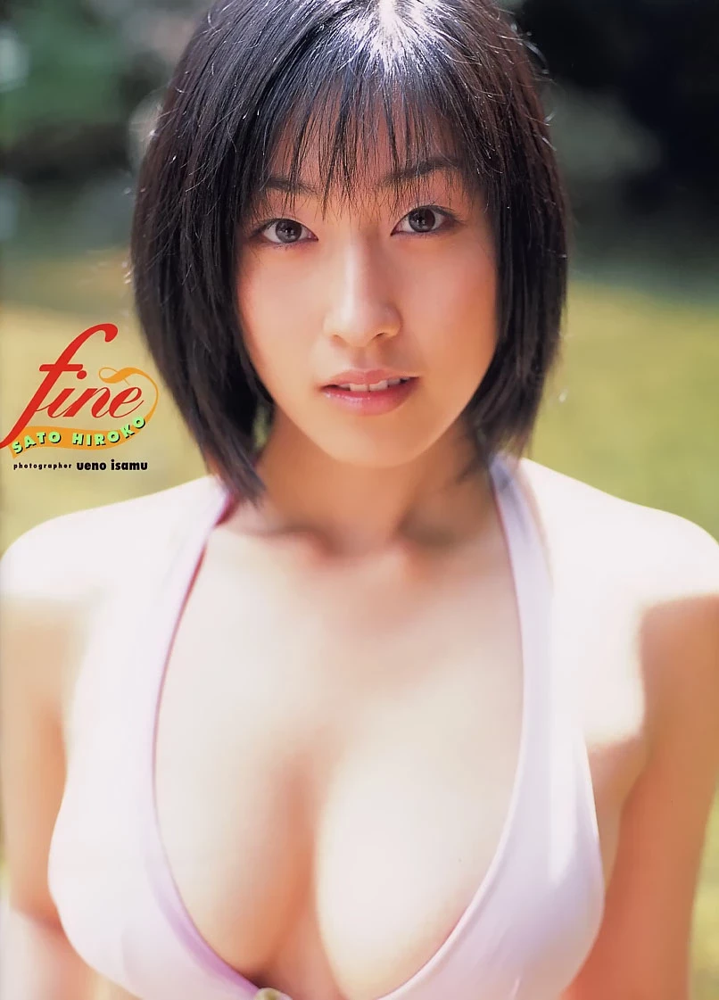 佐藤寛子[Photobook] - DIOSA [377P]