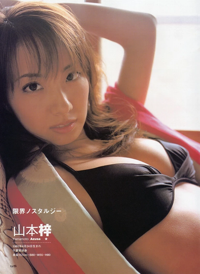 佐藤寛子[Photobook] - 情热 [683P]