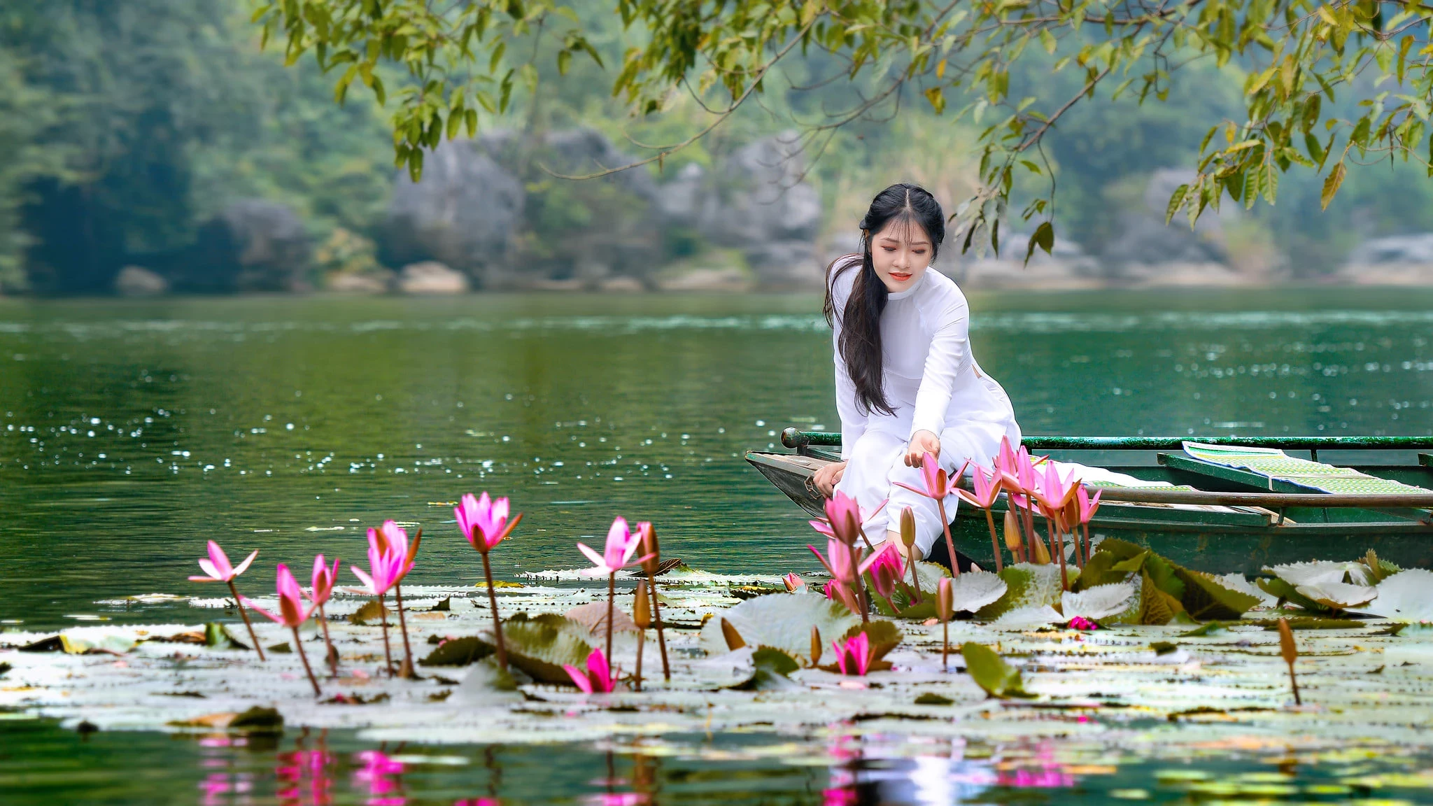 摄影师DINH VAN LINH拍摄的越南青黛