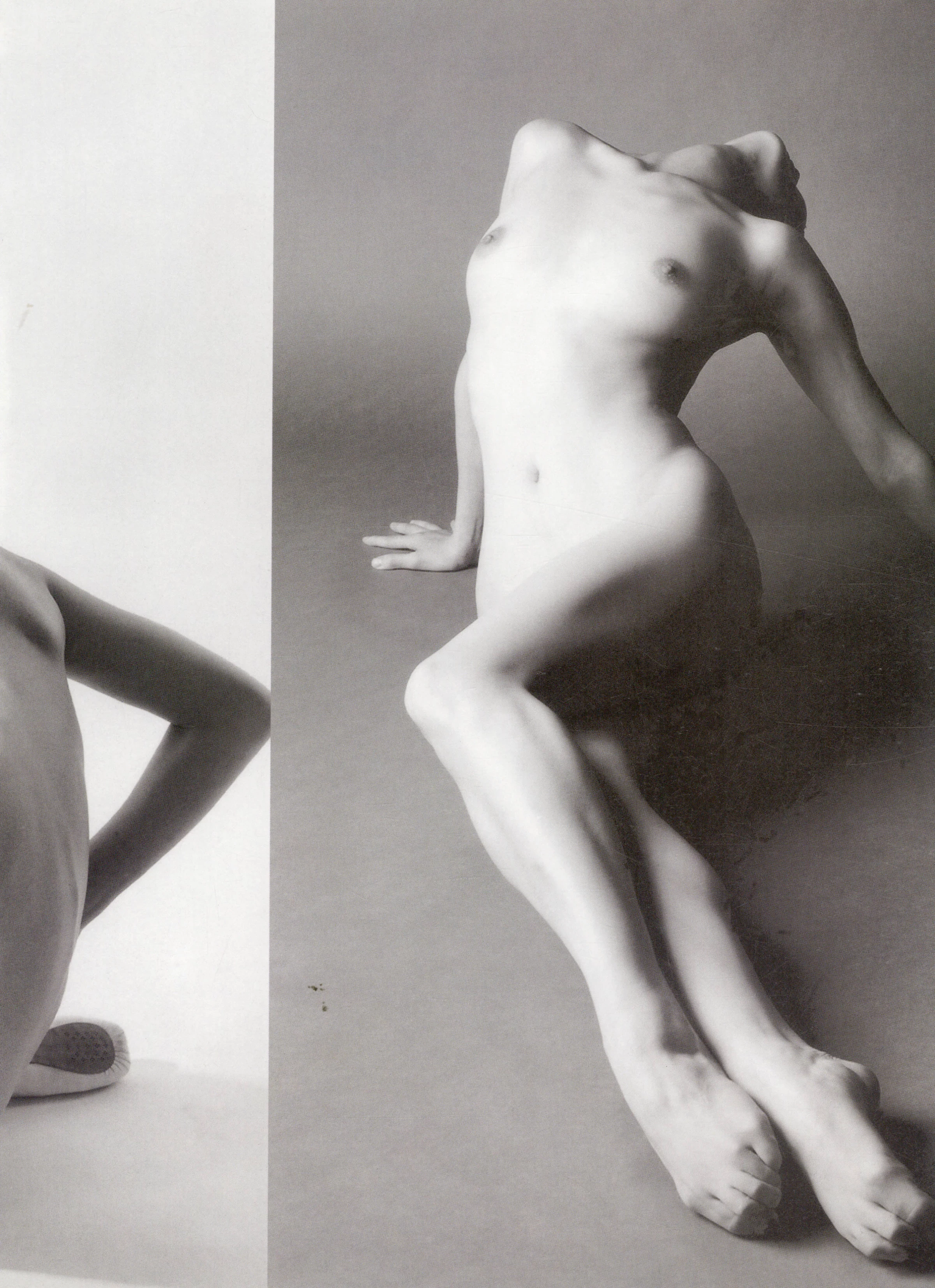 汤加丽人体艺术写真 Tang Jiali s Nude Art [135P]