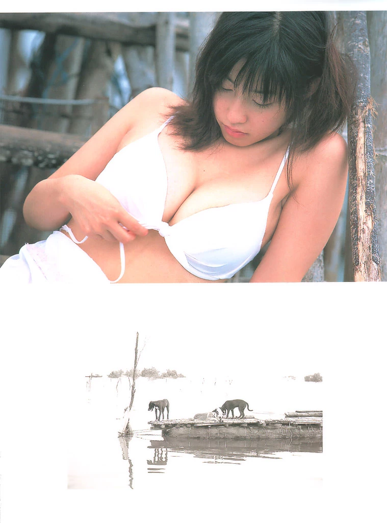 佐藤寛子[Photobook] - 情热 [732P]