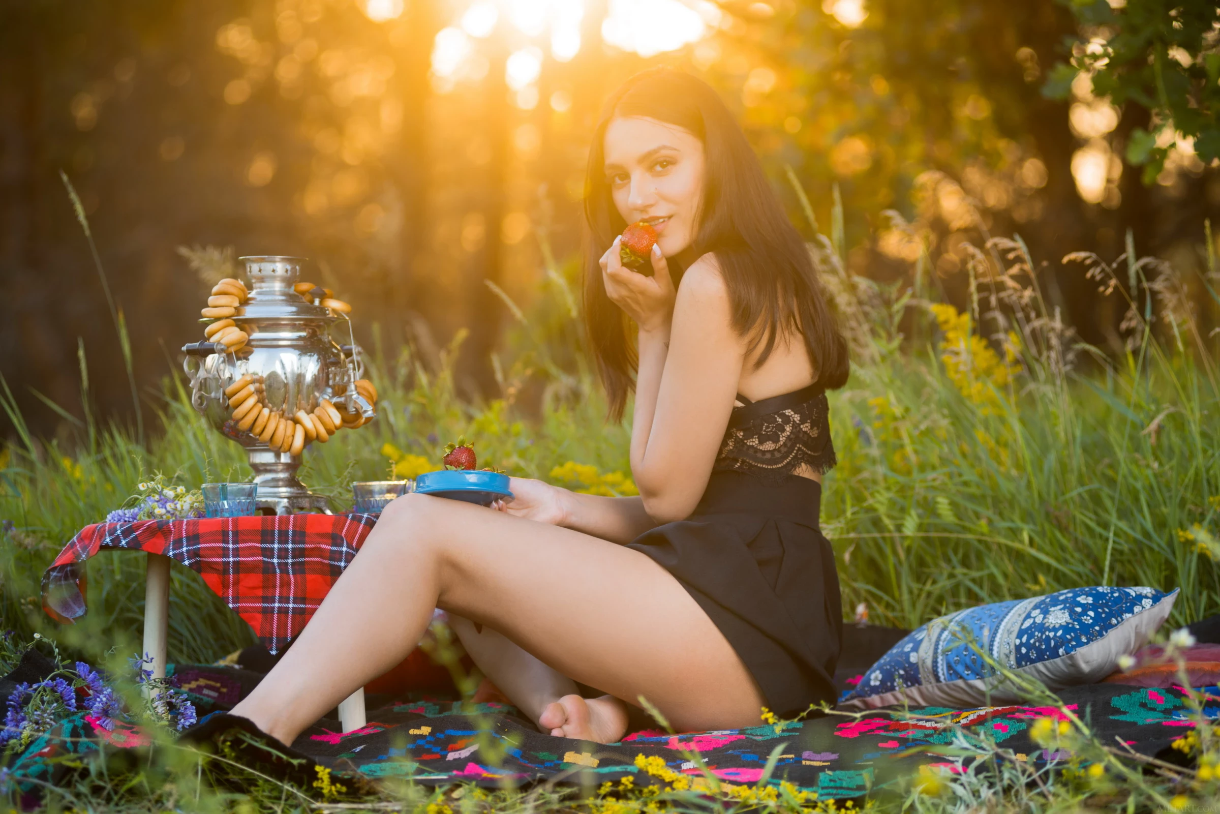 Cira Nerri - Picnic Date [110P]