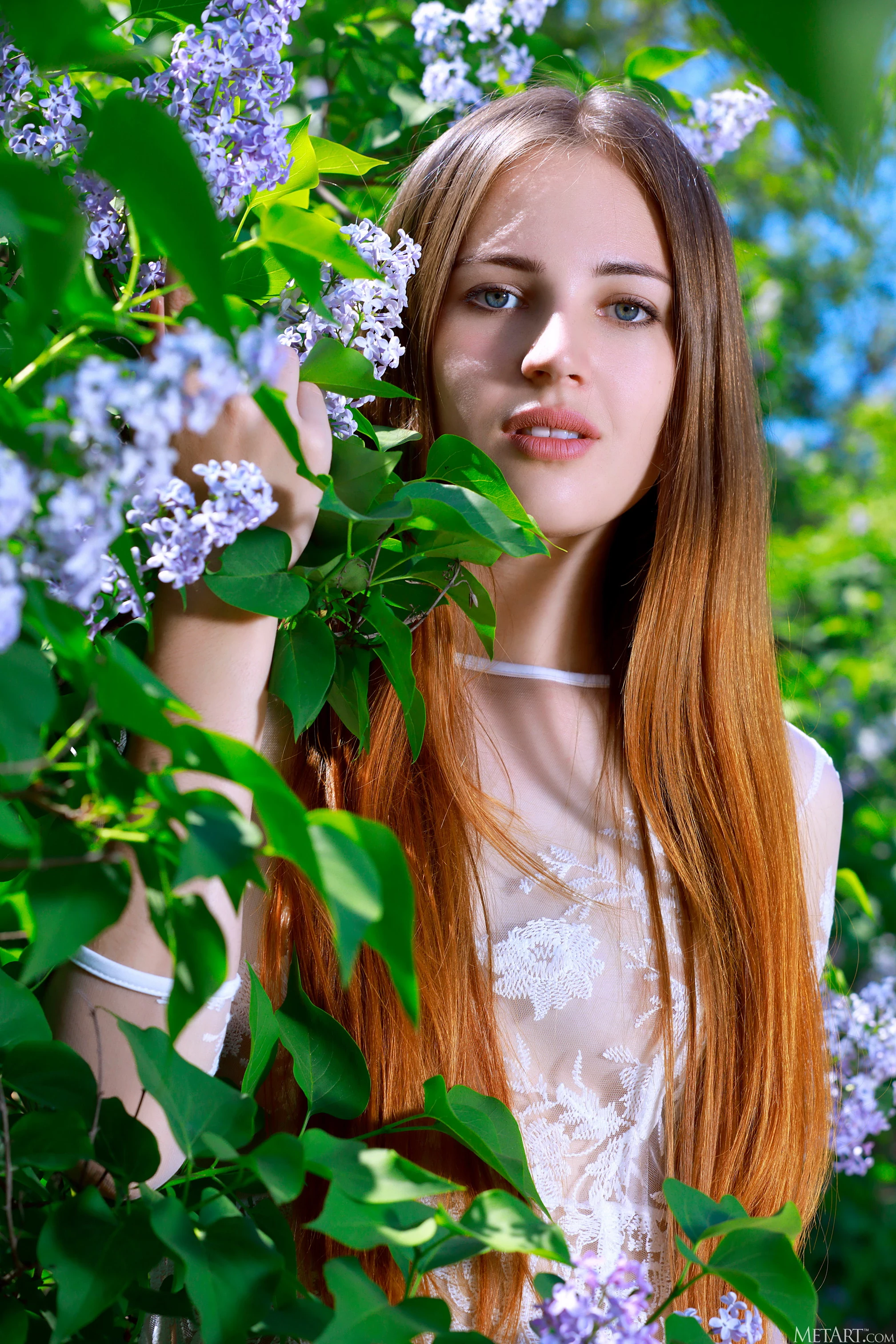 Hailey - Lilacs [127P]