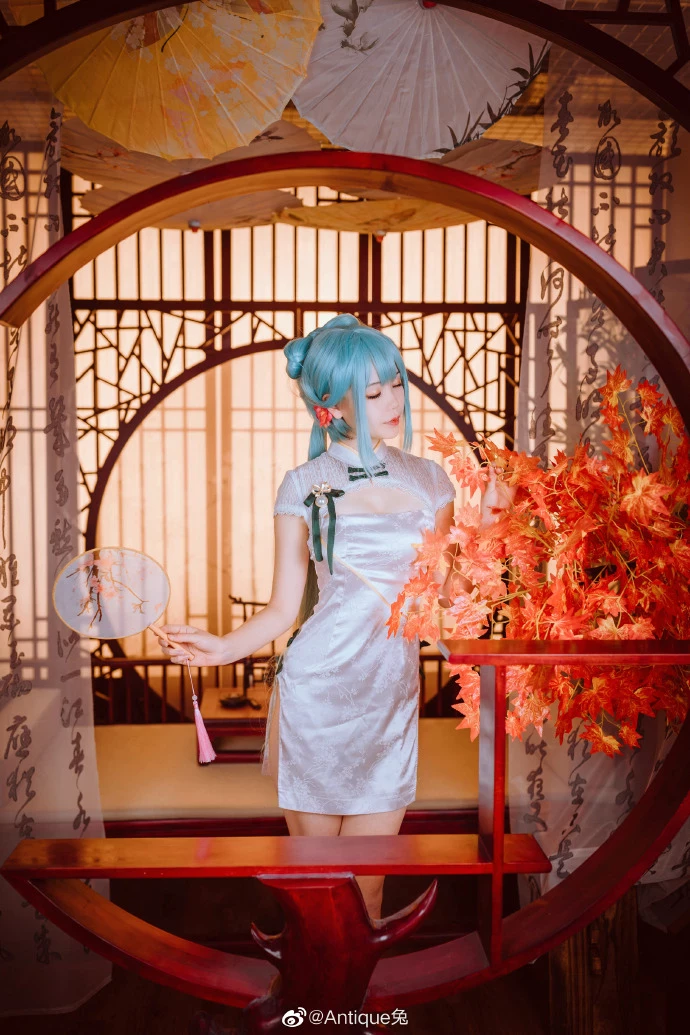 初音未來 韶華 @Antique兔 [9P]