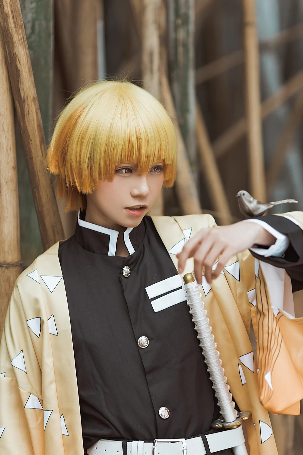 Kitaro 綺太郎 cosplay collection