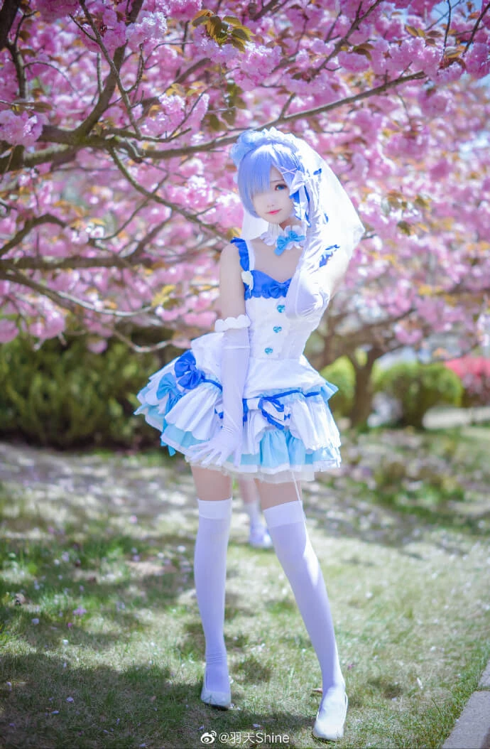 從零開始蕾姆花嫁cos,美萌可愛 cn羽天Shine [12P]