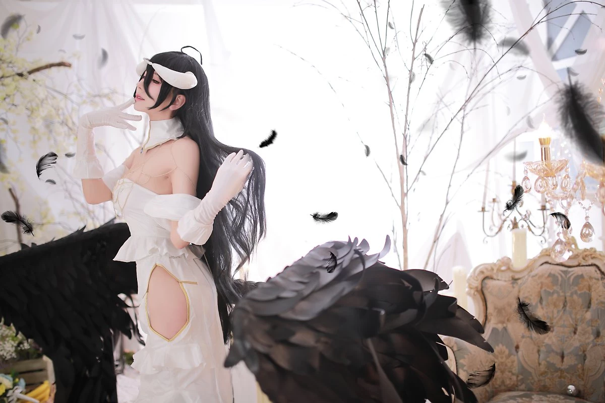 OVERLOAD - Albedo @nari [16P]