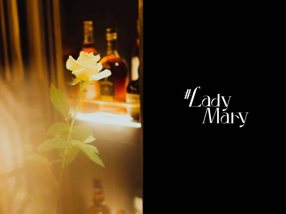 #LadyMary 宫下玲奈 [153P]